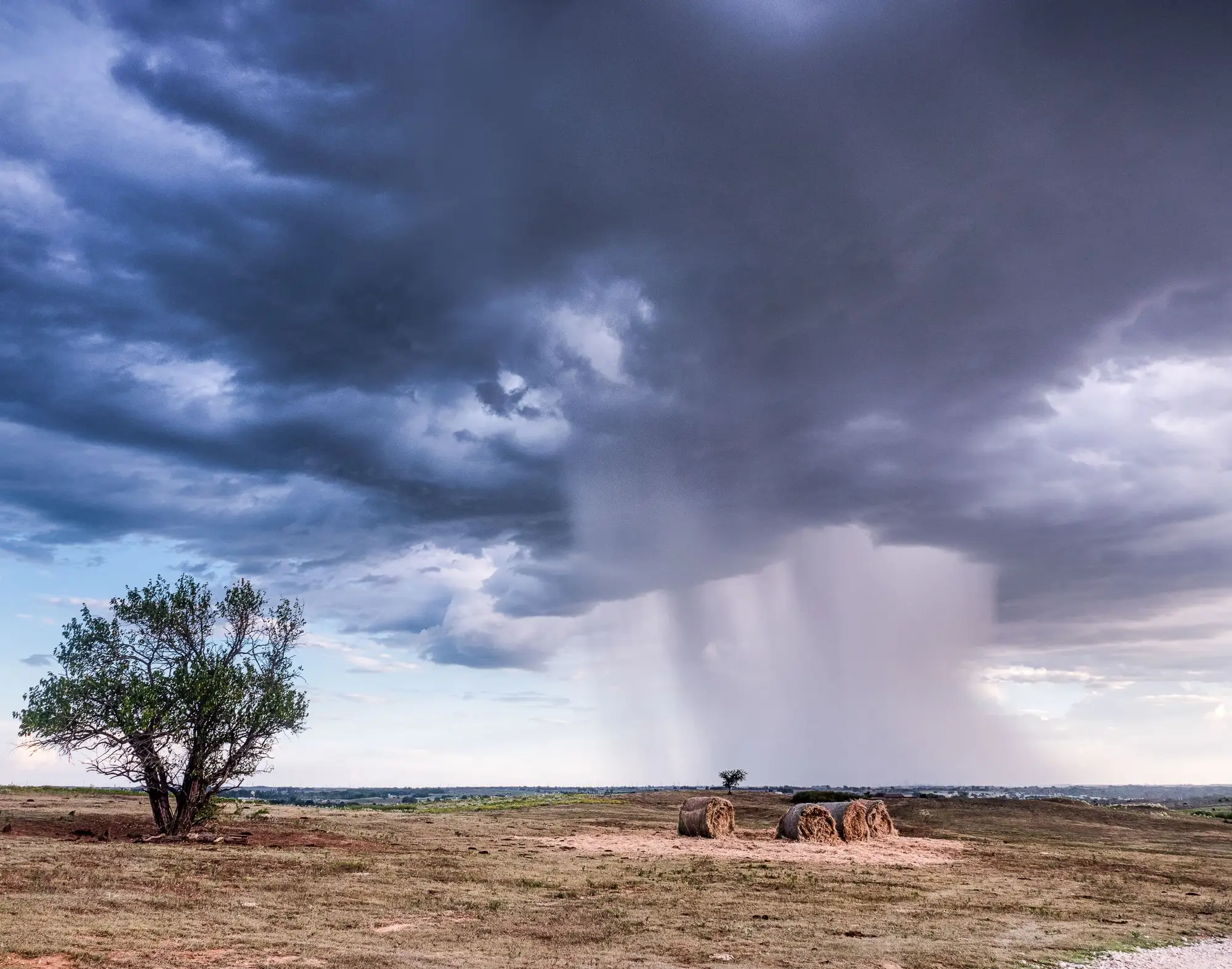 A storm front with rain shafts moving over open grassland
